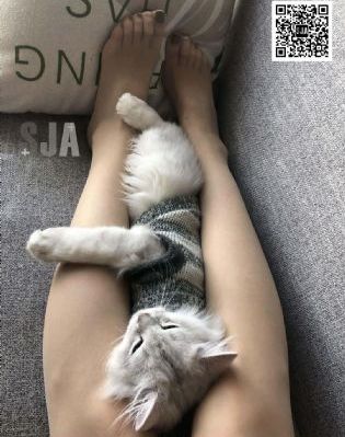 三年免费观看完整版在线观看_蓝光在线视频观看